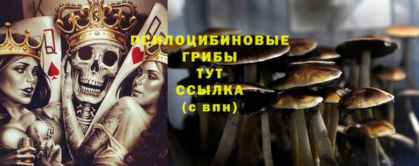 прущий лед Балахна