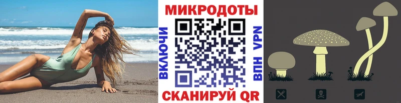 Псилоцибиновые грибы Psilocybe  хочу наркоту  Отрадное 